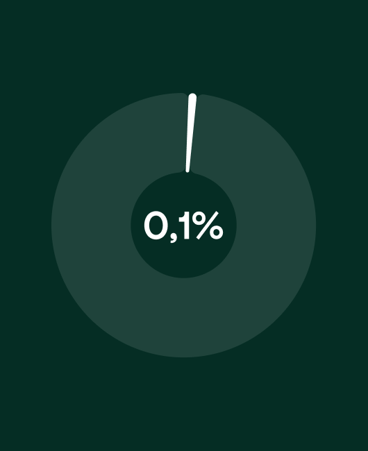 Quota di partecipazione di RMB nel progetto, parti al 0,1%, mostrata in un grafico a torta